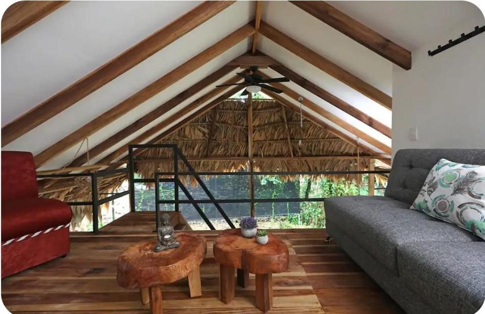 Hone Creek Evolution House Jungle Oasisヴィラ エクステリア 写真