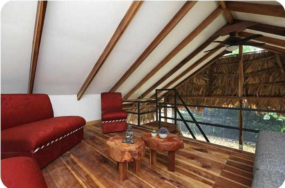 Hone Creek Evolution House Jungle Oasisヴィラ エクステリア 写真