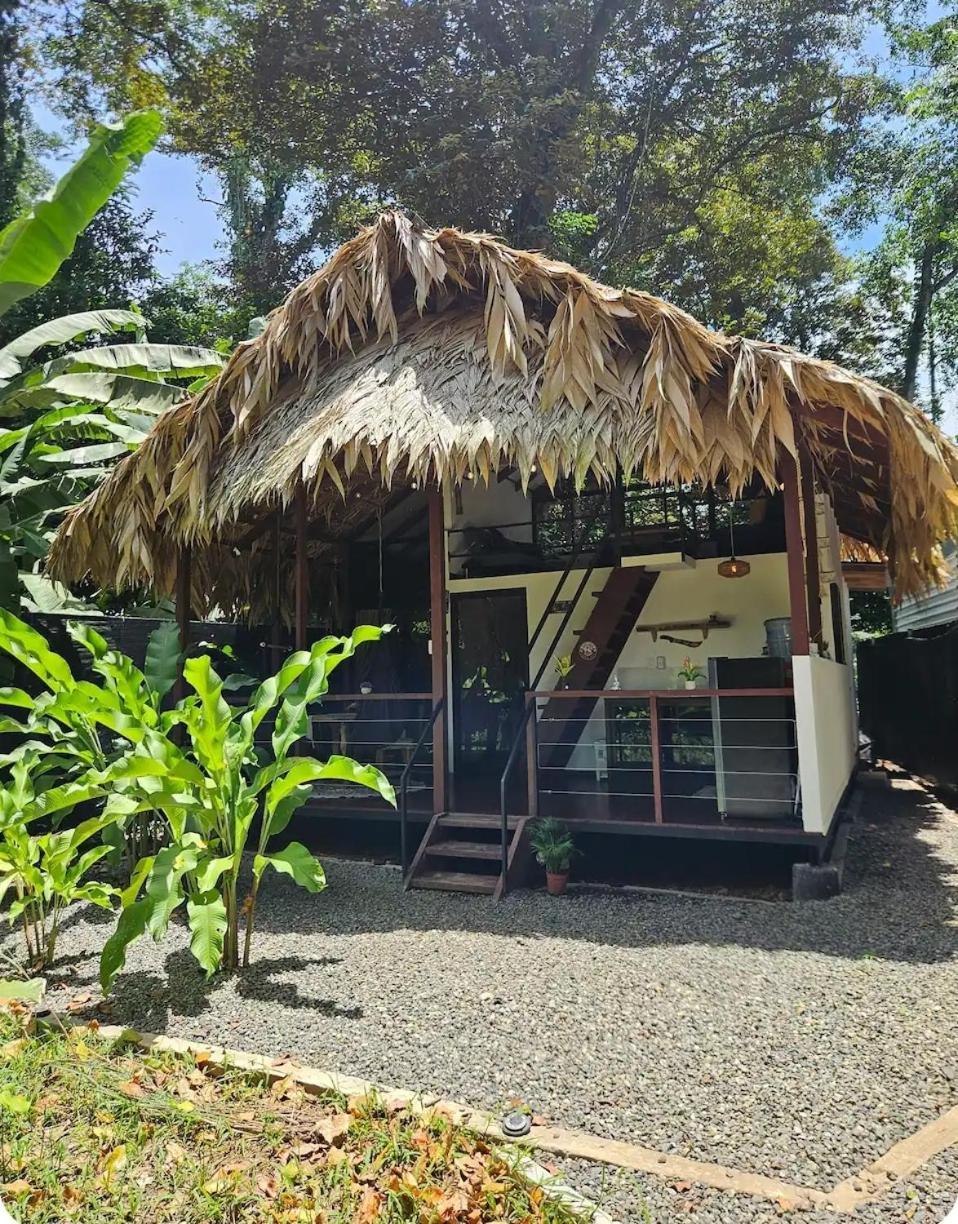 Hone Creek Evolution House Jungle Oasisヴィラ エクステリア 写真