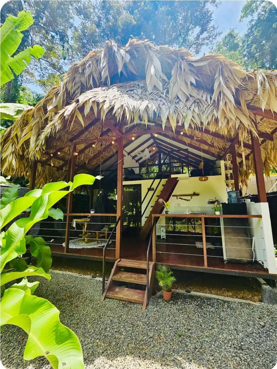 Hone Creek Evolution House Jungle Oasisヴィラ エクステリア 写真