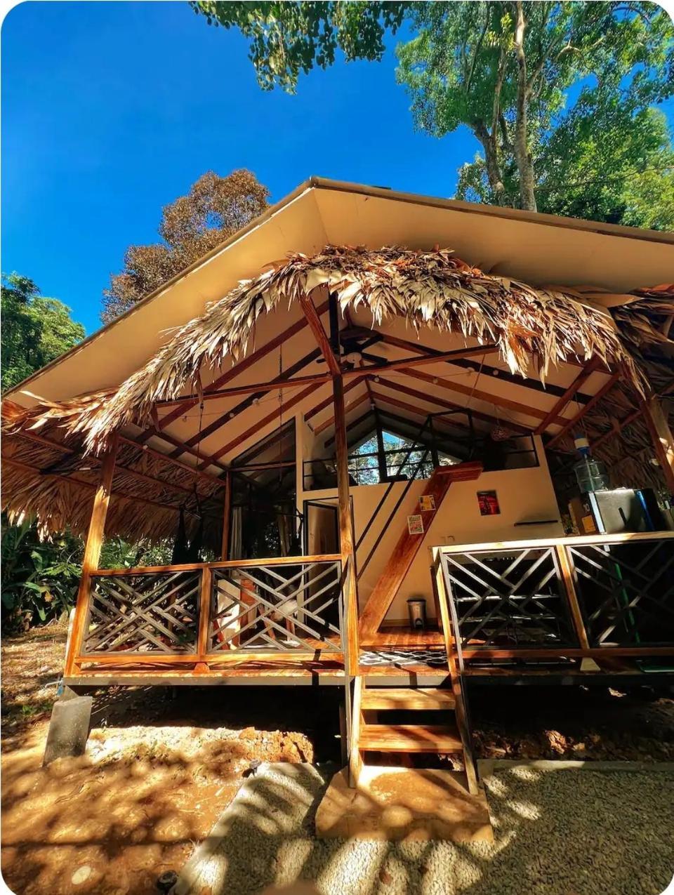 Hone Creek Evolution House Jungle Oasisヴィラ エクステリア 写真