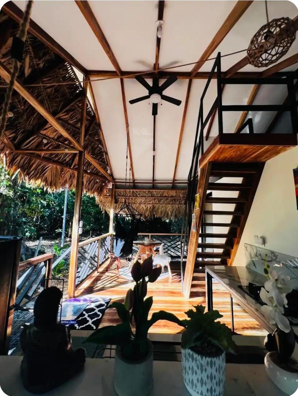Hone Creek Evolution House Jungle Oasisヴィラ エクステリア 写真